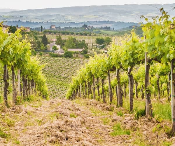 Tuscany